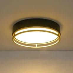 Black Gold Metal Round Dimmable LED Flush Mount Light 5CCT
