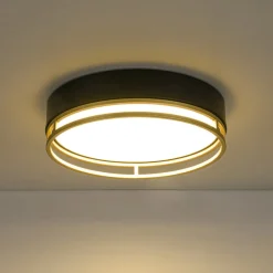 Black Gold Metal Round Dimmable LED Flush Mount Light 5CCT