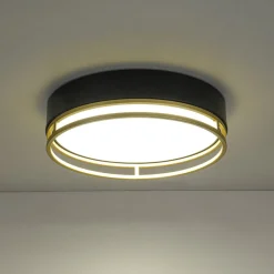 Black Gold Metal Round Dimmable LED Flush Mount Light 5CCT