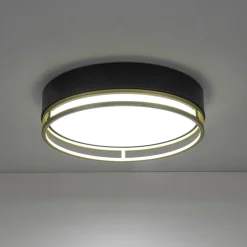 Black Gold Metal Round Dimmable LED Flush Mount Light 5CCT