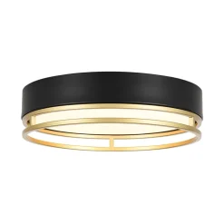 Black Gold Metal Round Dimmable LED Flush Mount Light 5CCT