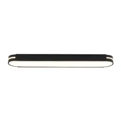 Black Minimalist Oval Dimmable LED Flush Mount Light