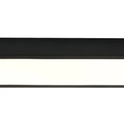 Black Minimalist Oval Dimmable LED Flush Mount Light