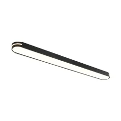 Black Minimalist Oval Dimmable LED Flush Mount Light