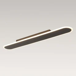 Contemporary Long Oval Warm Dimmable LED Ceiling Light