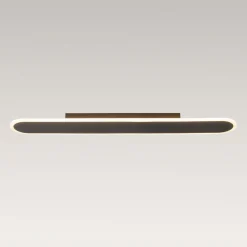 Contemporary Long Oval Warm Dimmable LED Ceiling Light