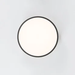 Contemporary Wood Round Dimmable LED Ceiling Light