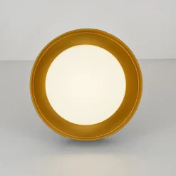 Dimmable LED Black Gold Iron Milky Glass Drum Flush Mount