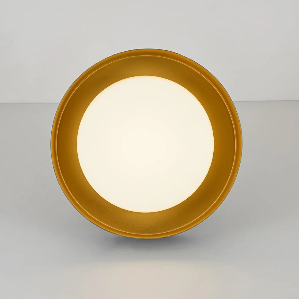 Dimmable LED Black Gold Iron Milky Glass Drum Flush Mount