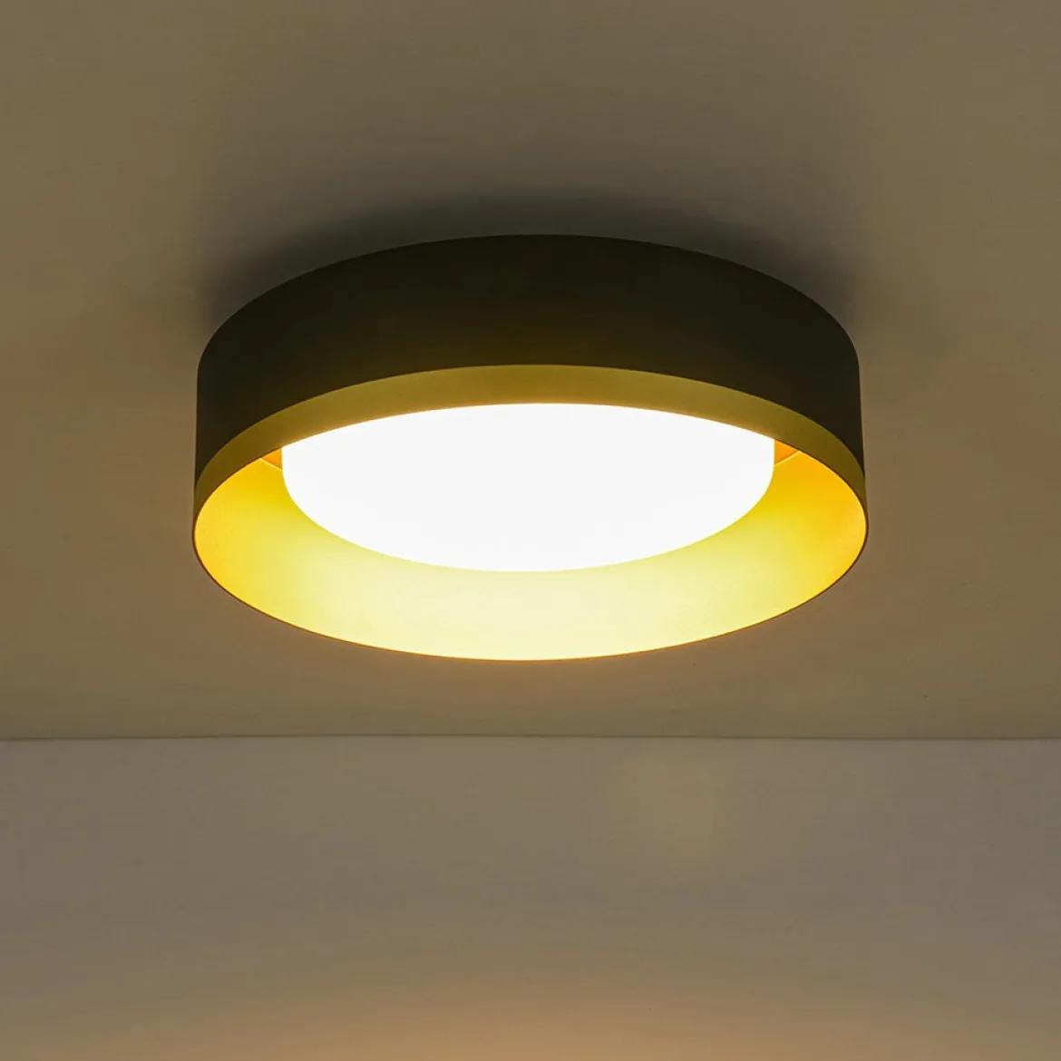 Dimmable LED Black Gold Iron Milky Glass Drum Flush Mount