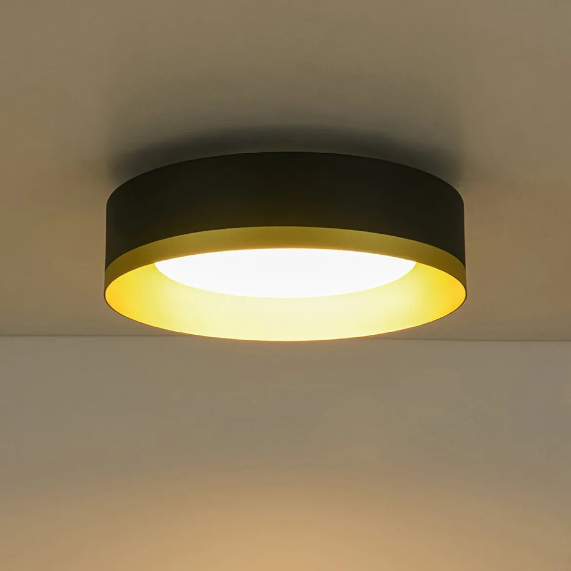 Dimmable LED Black Gold Iron Milky Glass Drum Flush Mount