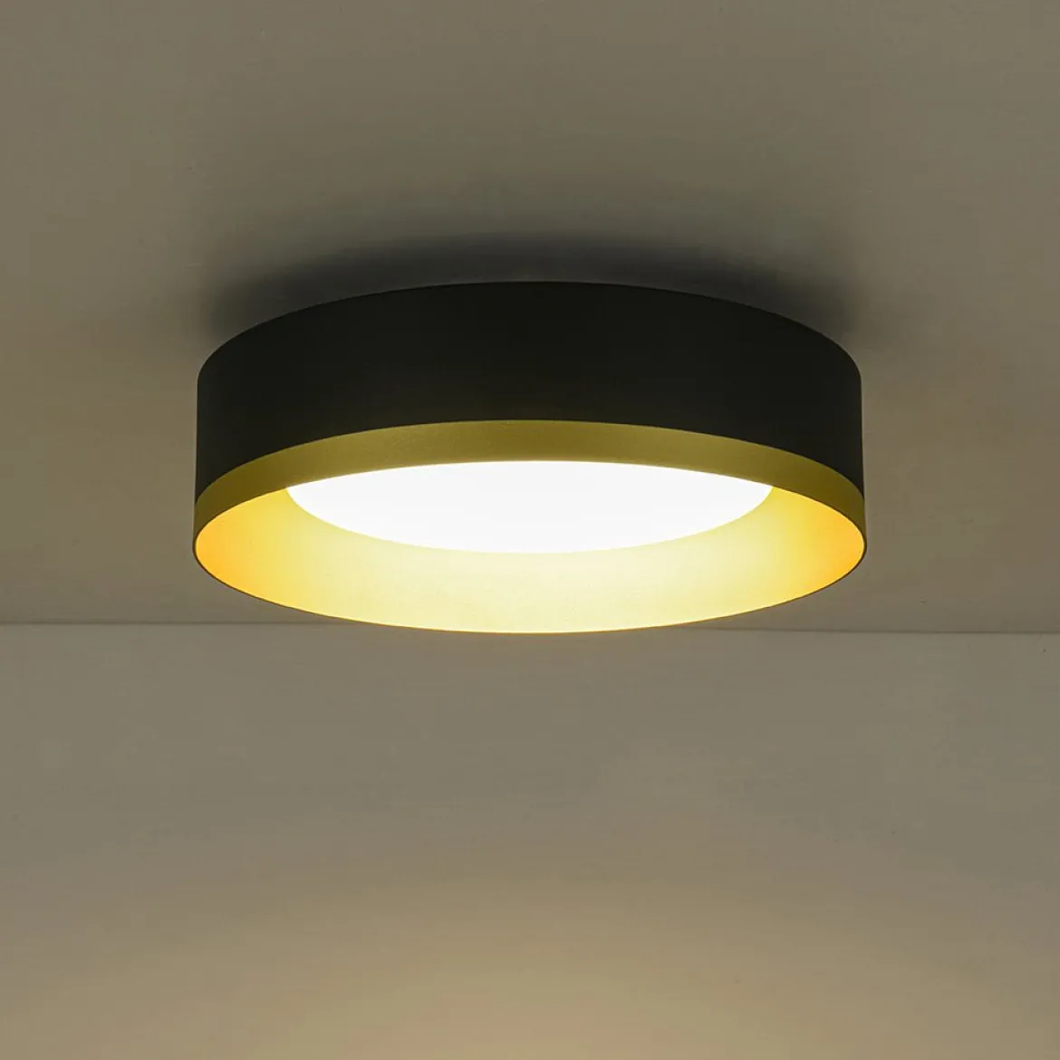 Dimmable LED Black Gold Iron Milky Glass Drum Flush Mount