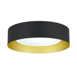 Dimmable LED Black Iron Milky Glass Round Drum Ceiling Light
