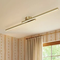 Dimmable 2-Light Long Strip Linear LED Flush Mount