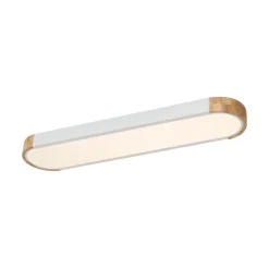 Dimmable Minimalist Long Oval Flush Mount LED Light