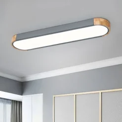 Dimmable Minimalist Long Oval Flush Mount LED Light