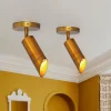 Distressed Brass Adjustable Dimmable LED Single Spotlight