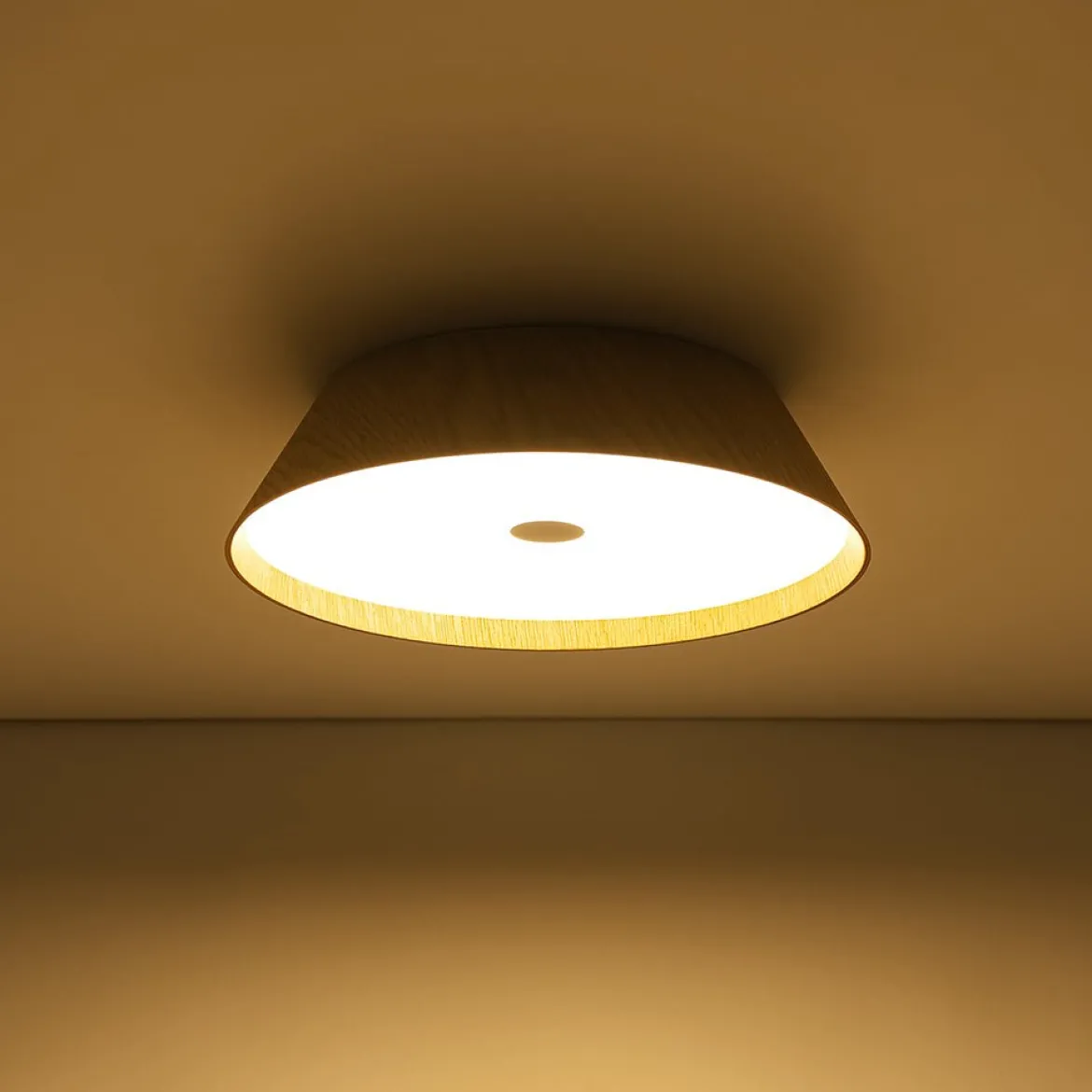 Farmhouse Wood Grain Dimmable LED Round Flush Mount Light