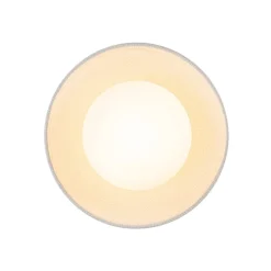 1-Light Ceramic Dome Frosted Shade Semi Flush Mount