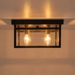4-Light Clear Glass Black Square Cage Flush Mount Ceiling Light