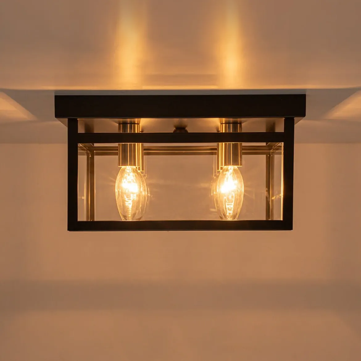4-Light Clear Glass Black Square Cage Flush Mount Ceiling Light