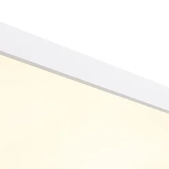 Minimalist Dimmable LED Rectangle Flush Mount Ceiling Light