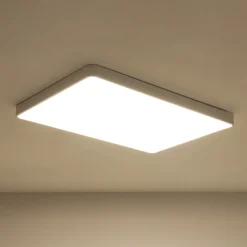 Minimalist Dimmable LED Rectangle Flush Mount Ceiling Light