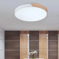 Minimalist LED Flush Mount Drum Light