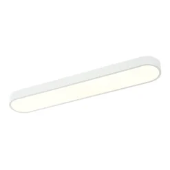 Minimalist Long Oval Dimmable LED Flush Mount Ceiling Light