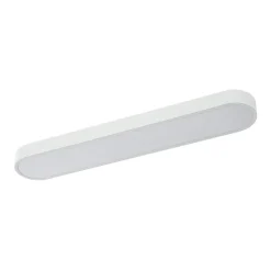 Minimalist Long Oval Dimmable LED Flush Mount Ceiling Light