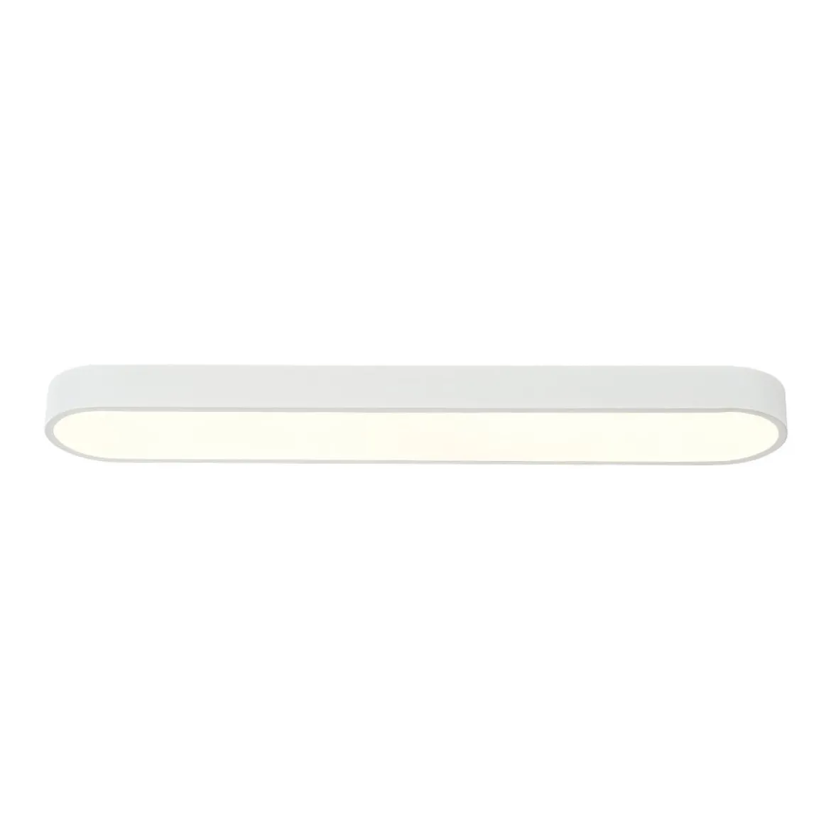 Minimalist Long Oval Dimmable LED Flush Mount Ceiling Light