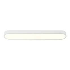 Minimalist Long Oval Dimmable LED Flush Mount Ceiling Light