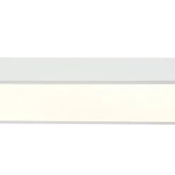 Minimalist Long Oval Dimmable LED Flush Mount Ceiling Light