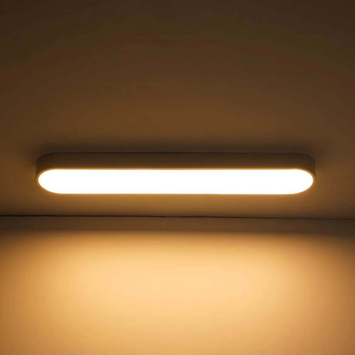 Minimalist Long Oval Dimmable LED Flush Mount Ceiling Light