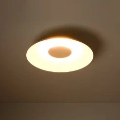 Minimalist Wide Flat Dome Dimmable LED Ceiling Light