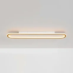 Minimalist Wood Grain Dimmable LED Oval Ring Ceiling Light