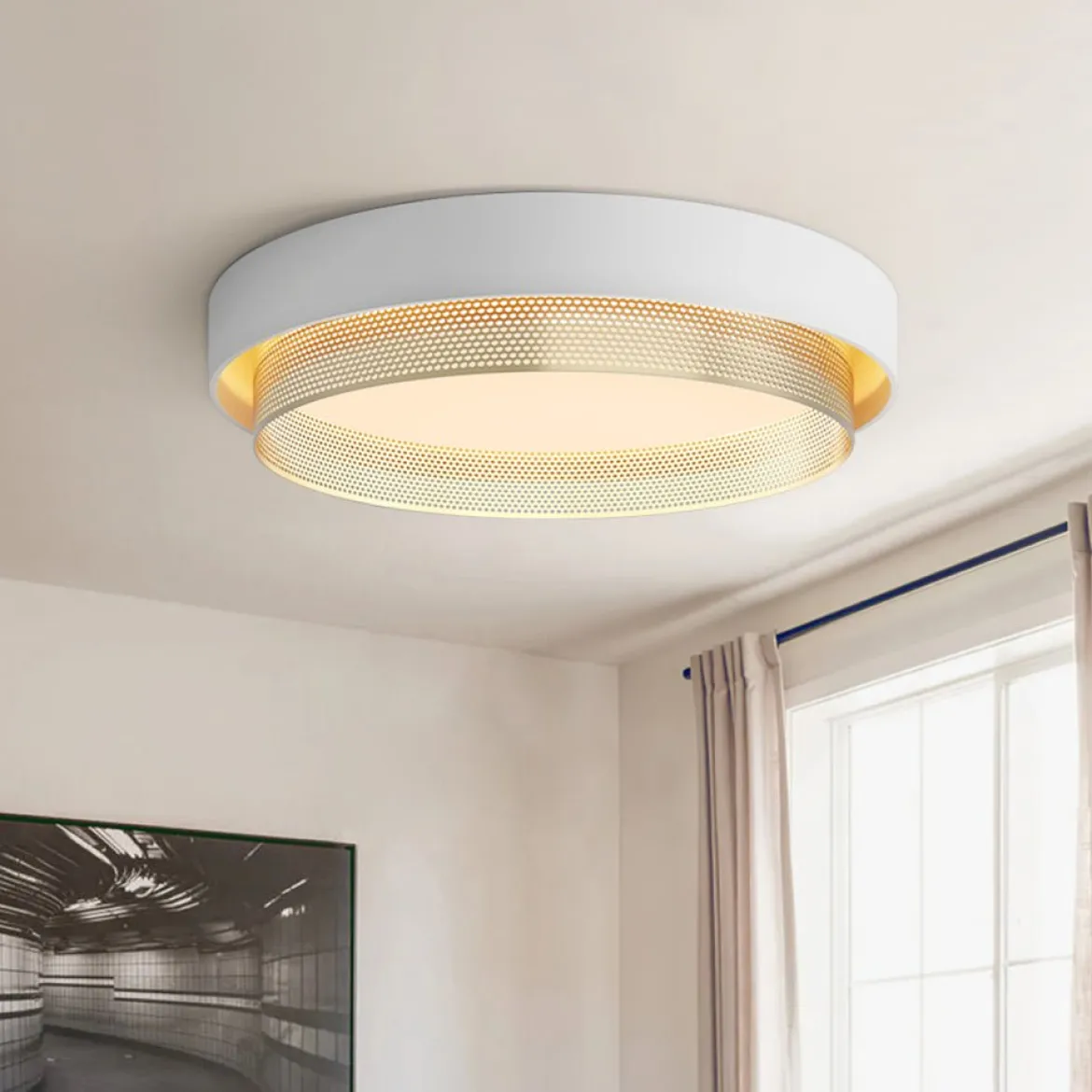 Modern LED Iron Mesh Circular Flush Mount Light