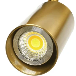 Modern 1-Light GU10 Adjustable Ceiling Spot Light Track Light