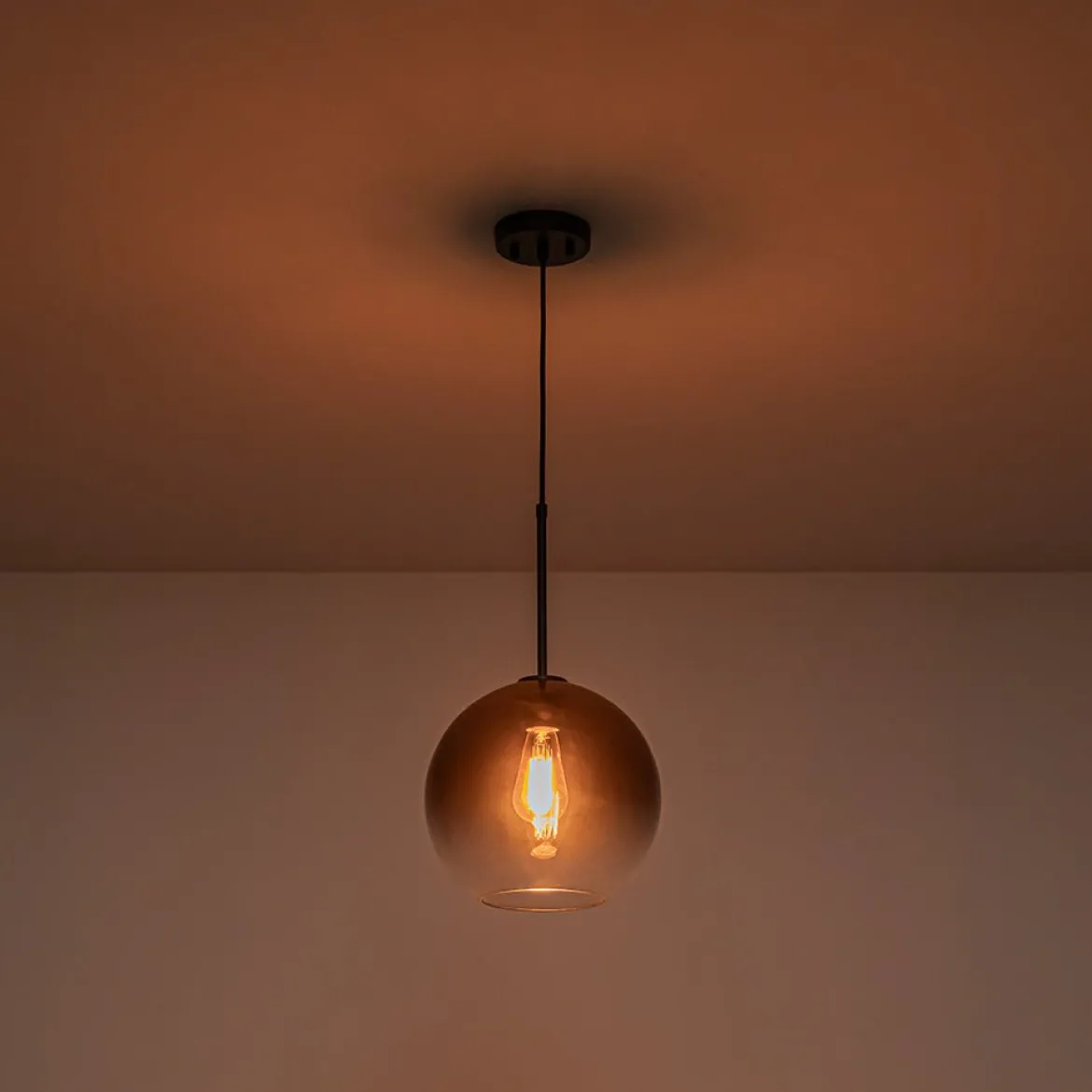 Modern Minimalist 1-light Smoked Grey Tinted Glass Globe Pendant