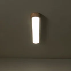 Natural Wood Long Oval Dimmable LED Flush Mount Light
