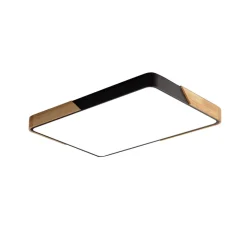 Rectangle LED Flush Mount Light