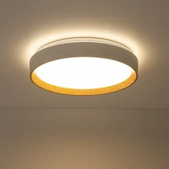 Scandinavian 5CCT Dimmable LED Round Flush Mount Light