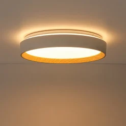 Scandinavian 5CCT Dimmable LED Round Flush Mount Light