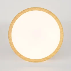 Scandinavian 5CCT Dimmable LED Round Flush Mount Light