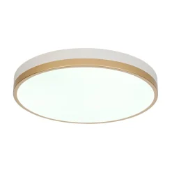 Scandinavian Round Dimmable LED Ceiling Light DIP Switch