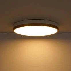 Scandinavian Round Dimmable LED Ceiling Light DIP Switch