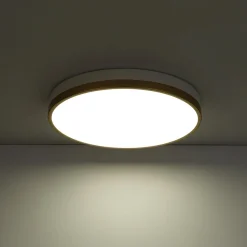 Scandinavian Round Dimmable LED Ceiling Light DIP Switch