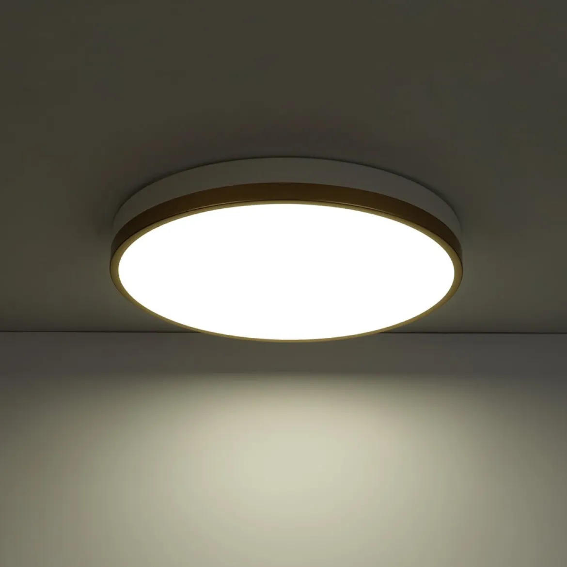 Scandinavian Round Dimmable LED Ceiling Light DIP Switch