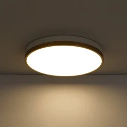 Scandinavian Round Dimmable LED Ceiling Light DIP Switch