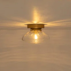 Versatile 1-Light Water Glass Oval Globe Semi Flush Wall Lamp